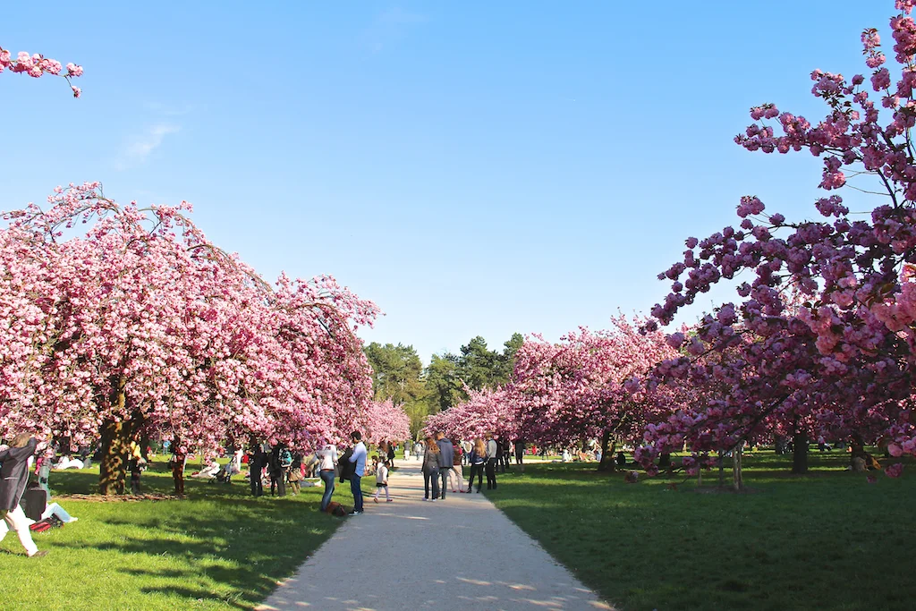 Parc de Sceaux